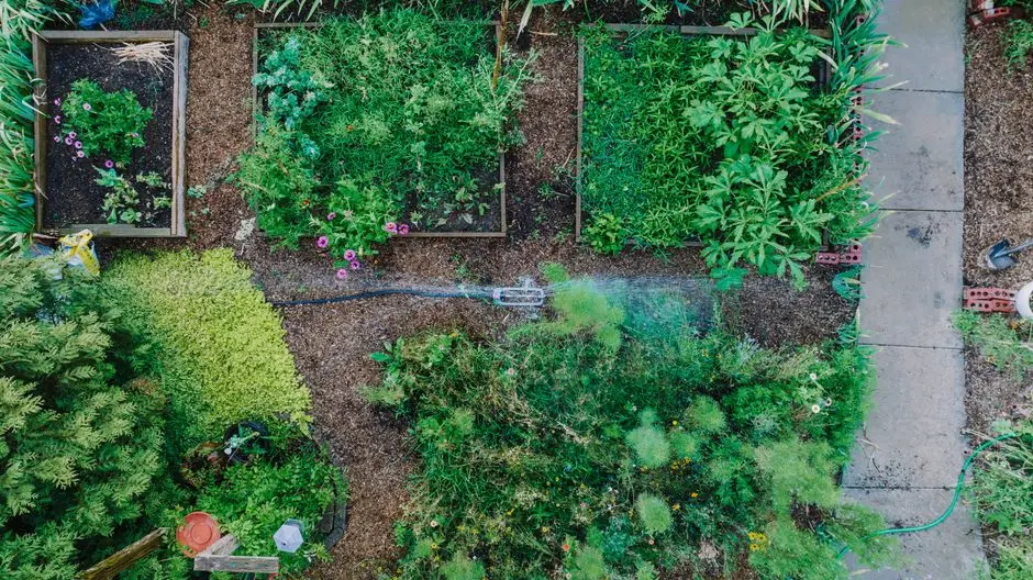 Greens & Outdoors at ACE FOREST, Sector 22D, Greater Noida