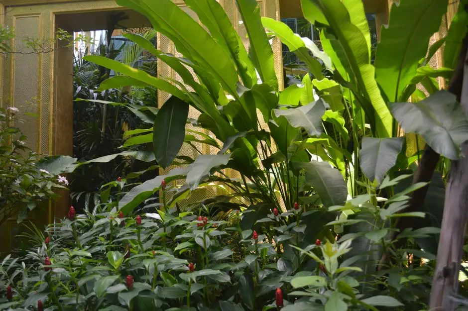 Greens & Outdoors at ACE ARTE, Sector 150, Noida