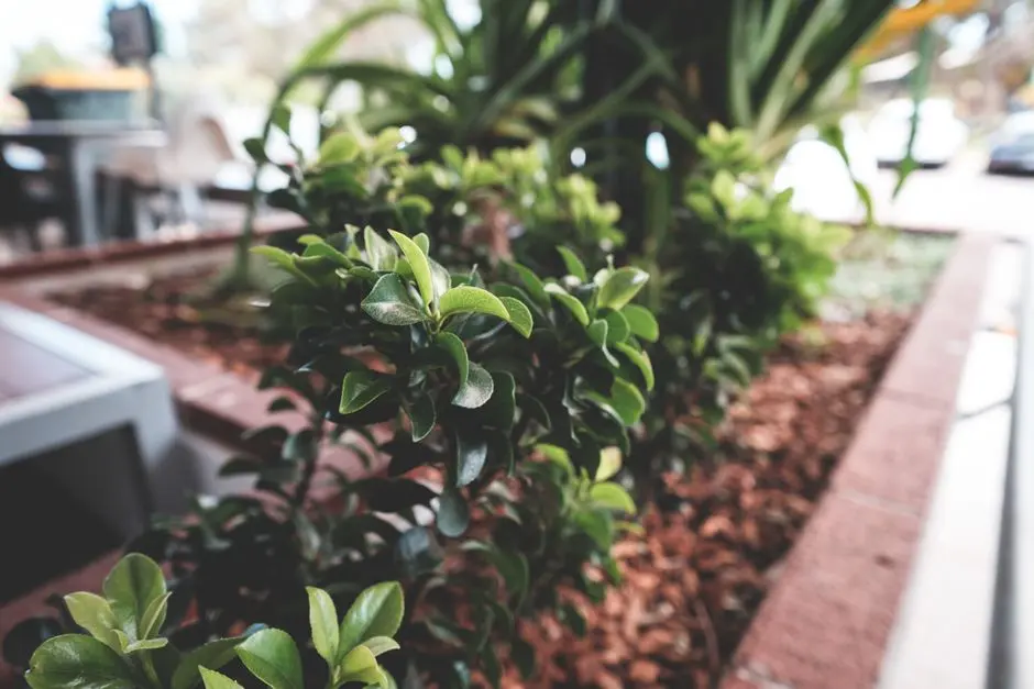 Greens & Outdoors at ACE MEDLEY AVENUE, Sector 150, Noida