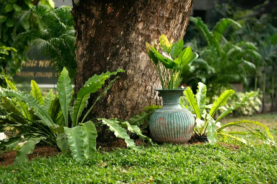 Greens & Outdoors at ACE AUREA, Sector 22D, Greater Noida
