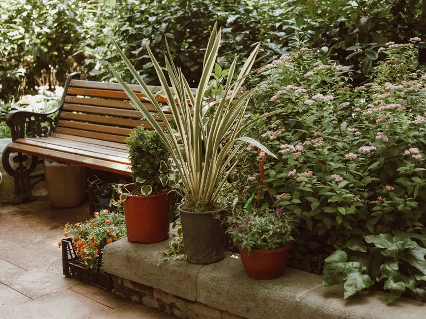Greens & Outdoors at ACE STARLIT, Sector 152, Noida